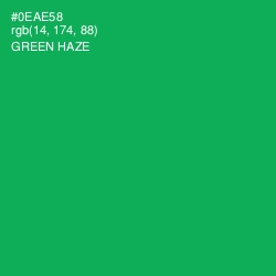 #0EAE58 - Green Haze Color Image